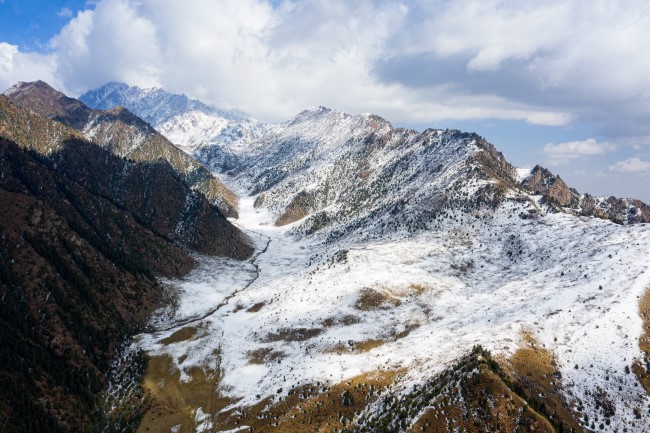 Summer snow falls in Qilian Mountain National Park