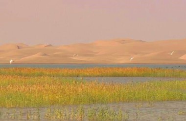 Dunhuang site added to list of wetlands of international importance
