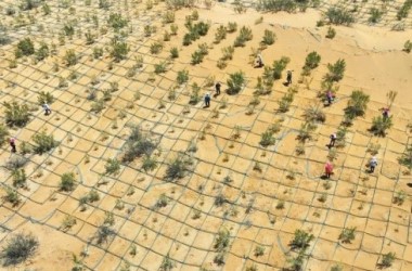 Zhangye to further push back desertification 