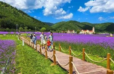 Enjoy scenery of flower valley in NW China's Qingyang