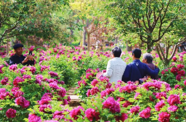 Baiyin blending greenery with urban charm