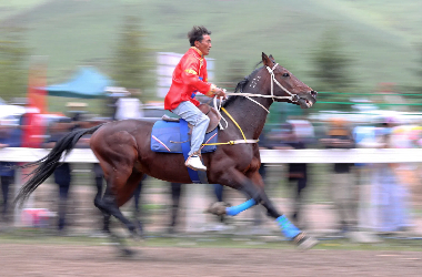Thundering hooves on the 2024 Tianzhu horse racing event