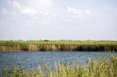 In Minqin, Qingtu Lake blossoms anew