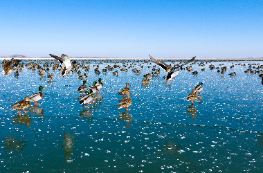 Winter wonderland at Hongya Mountain Reservoir in Minqin