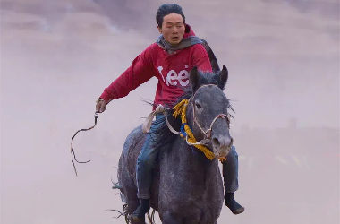 Traditional horse racing festival gallops into Lintan county