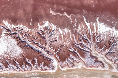'Tidal Trees' – Gansu's fleeting Yellow River winter wonder
