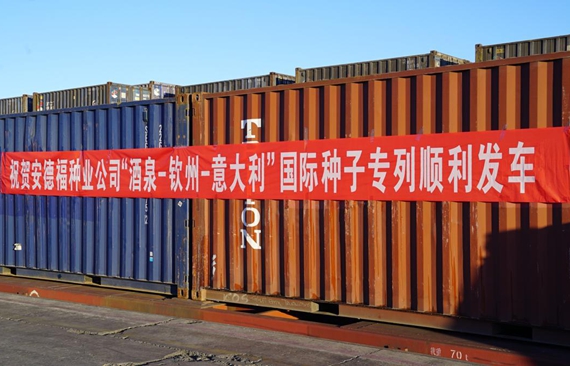 450-ton freight train brings Gansu seeds to Europe
