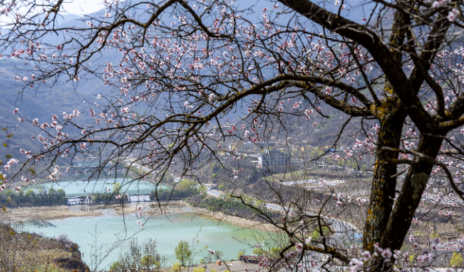 Enjoy spring outing at NW China's Guan'egou scenic area