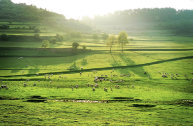 Autumn scenes brighten the landscape in Qingshui county