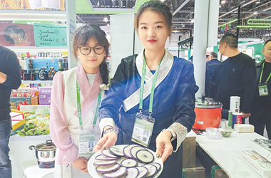 Gansu's 'Ganwei' agricultural products gain popularity at Zhejiang Agricultural Fair
