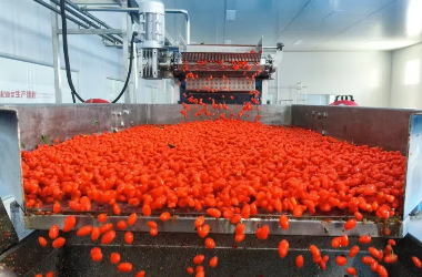 Guazhou goji products make first export to New Zealand