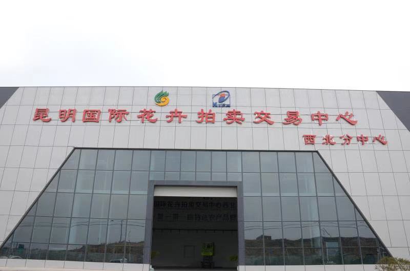 New flower auction center opens in Lanzhou, Gansu.jpeg