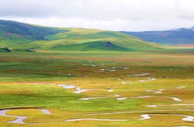 Diverse Gansu wetlands feature eco-harmony