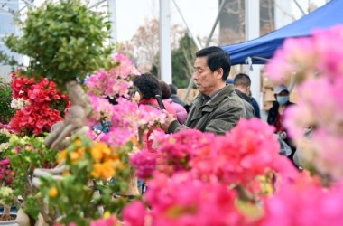 Lanzhou bursts into bloom