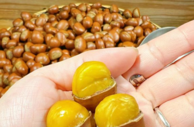 A bite of Lanzhou: sugar-roasted chestnuts a smash hit in autumn