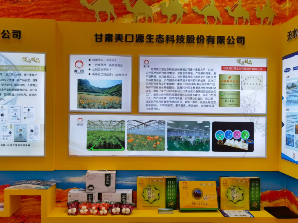 Lanzhou Lily showcased at the China Brand Expo.png