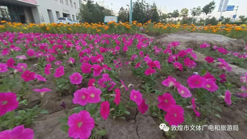 Dunhuang beautifies itself to welcome grand event.jpg