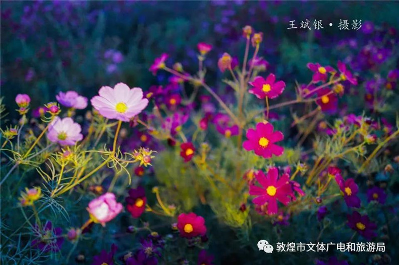 Dunhuang beautifies itself to welcome grand event.jpg