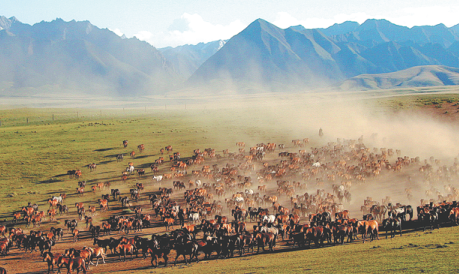 Rich culture, history of Gansu to be discussed at synchronized events.png