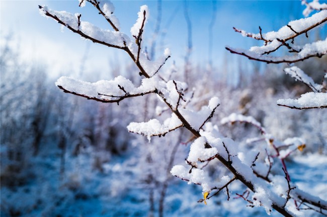 3月25日，一场雨雪天气过后，敦煌乡村出现美丽雪景。（6）.jpg