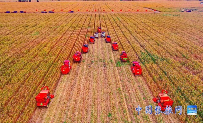 Zhangye advances modern agriculture