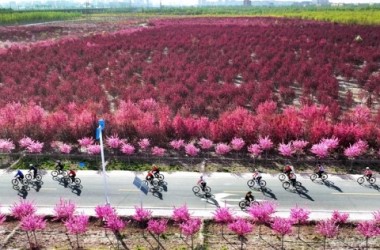 Explore the charm of Heihe Forestry Farm in Zhangye