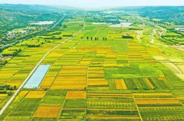 Farming activities in full swing in Gansu