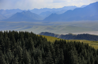 Spectacular Shandan farm provides perfect autumn scenery