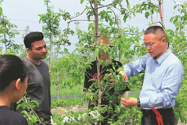 Key Yangling base driving agricultural collaboration