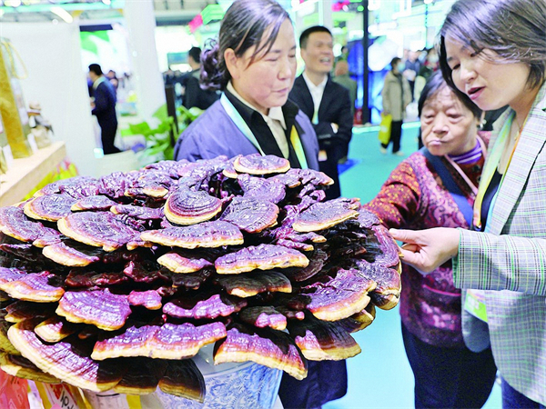 Yangling agri fair brings innovation to doorstep