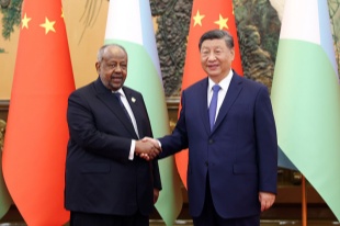  Chinese, Djiboutian presidents meet in Beijing, elevate bilateral ties