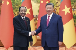 Chinese, Cameroonian presidents announce elevation of bilateral ties