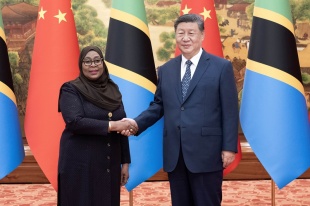 Xi meets Tanzanian president