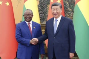 Xi meets Guinea-Bissau president