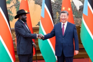 Chinese, South Sudanese presidents elevate bilateral ties