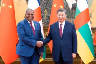 China, Central African Republic elevate bilateral ties