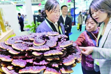 Yangling agri fair brings innovation to doorstep