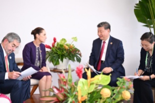 Xi calls for all-round development of China-Mexico relations in new era