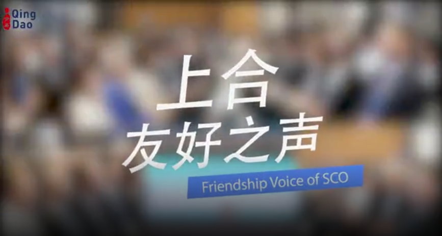 Friendship Voice of SCO——Lin Songtian, President of The Chinese People’s Association for Friendship with Foreign Countries