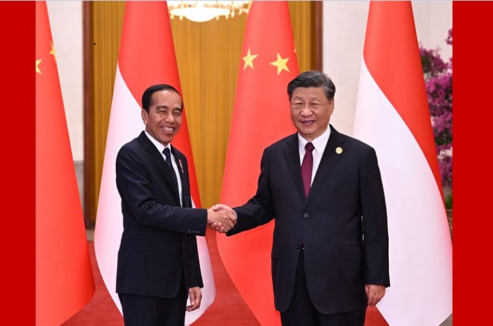 Xi holds talks with Indonesian president