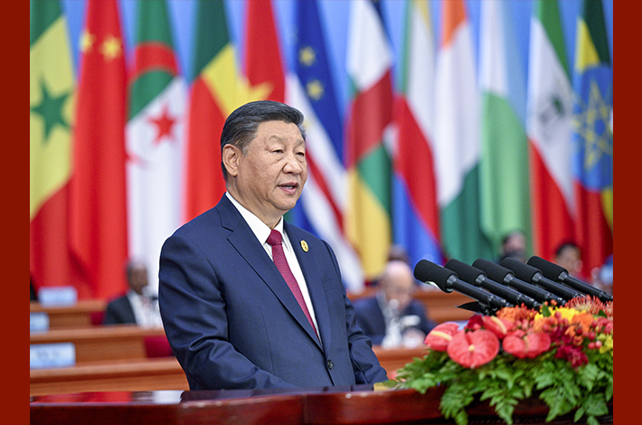 Xi proposes partnership actions to jointly advance modernization with Africa