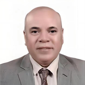 Arabi Elsayed Ibrahim Keshk