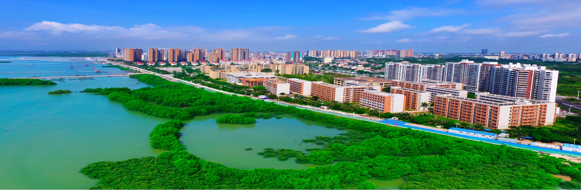 Fresh Seafood in Maoming