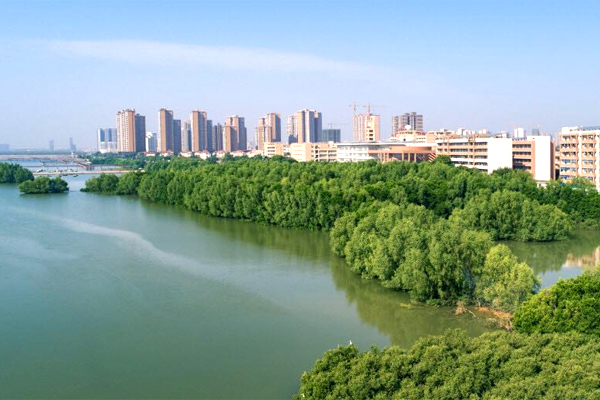 Maoming eco-economy sees high-quality development