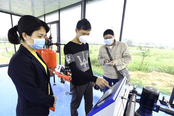 Maoming builds nation's first smart orchard for lychees