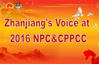 2016 NPC&CPPCC