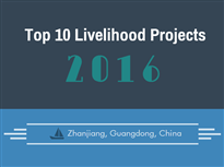 Top 10 livelihood projects in 2016