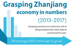 Grasping Zhanjiang economy in numbers