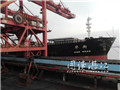 Zhanjiang Port Group performs well in January