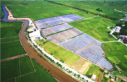 Zhanjiang, a pioneer in agricultural modernization